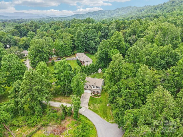 22 Streamside Dr, Hendersonville, NC 28791 - photo 47