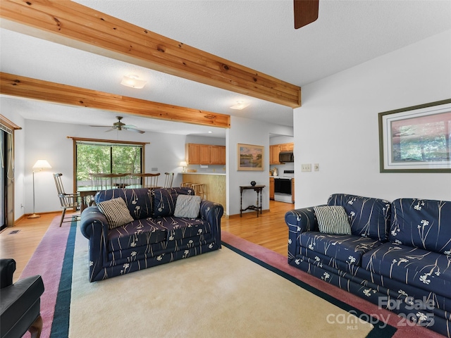 43 Hungryneck Hollow Ln, Saluda, NC 28773 - living area featuring ceiling fan, beamed ceiling, wood finished floors, and carpet floors