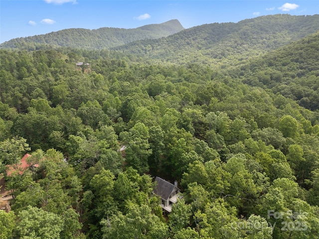 43 Hungryneck Hollow Ln, Saluda, NC 28773 - view of mountain backdrop with a forest