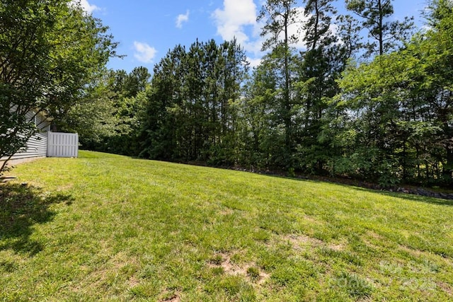 7315 Gasper Ln, Fort Mill, SC 29707 - view of green lawn