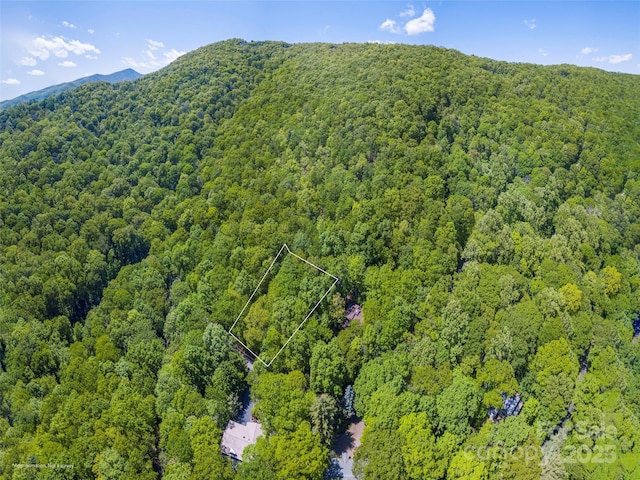 00 Skyline Dr, Waynesville, NC 28786 - photo 1