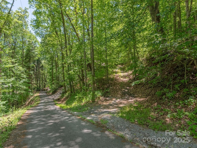 00 Skyline Dr, Waynesville, NC 28786 - photo 3
