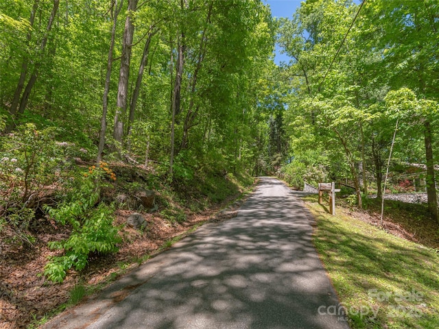 00 Skyline Dr, Waynesville, NC 28786 - photo 5