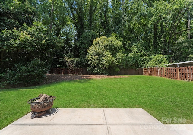 1027 Dresden Dr W, Charlotte, NC 28205 - fenced backyard with a fire pit and a patio area