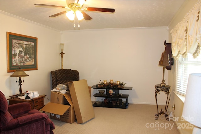 116 Woodbark Ln, Kings Mountain, NC 28086 - living area featuring carpet, a ceiling fan, and ornamental molding