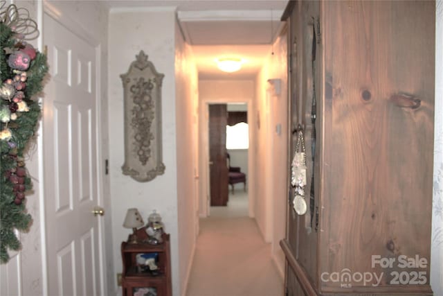 116 Woodbark Ln, Kings Mountain, NC 28086 - corridor with light carpet