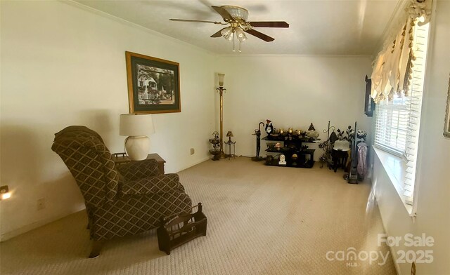 116 Woodbark Ln, Kings Mountain, NC 28086 - photo 13