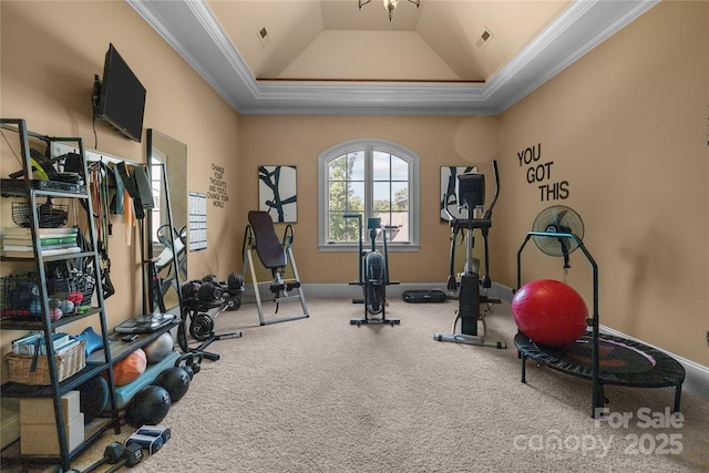 617 Beauhaven Ln, Waxhaw, NC 28173 - workout room with crown molding, carpet, and a raised ceiling