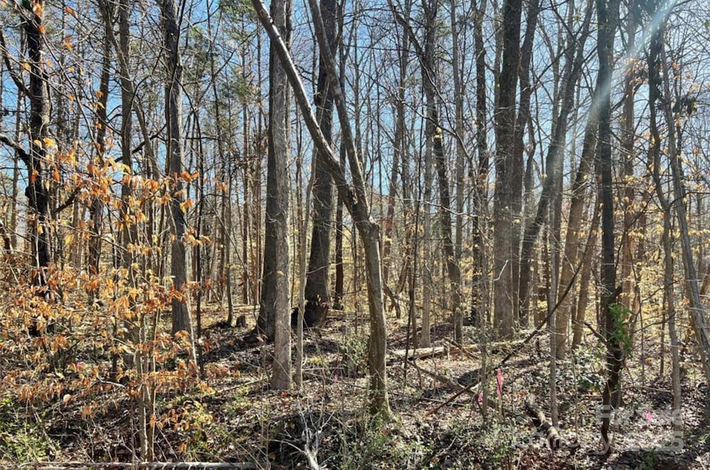 01 Lurecliff Pl, Fort Mill, SC 29708 - photo 2