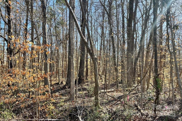 01 Lurecliff Pl, Fort Mill, SC 29708 - photo 2