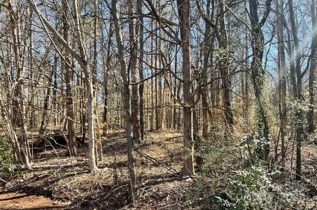 01 Lurecliff Pl, Fort Mill, SC 29708 - photo 3