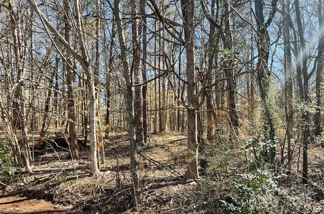 01 Lurecliff Pl, Fort Mill, SC 29708 - photo 3