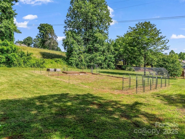 2941 Nix Creek Rd, Marion, NC 28752 - view of yard with a vegetable garden