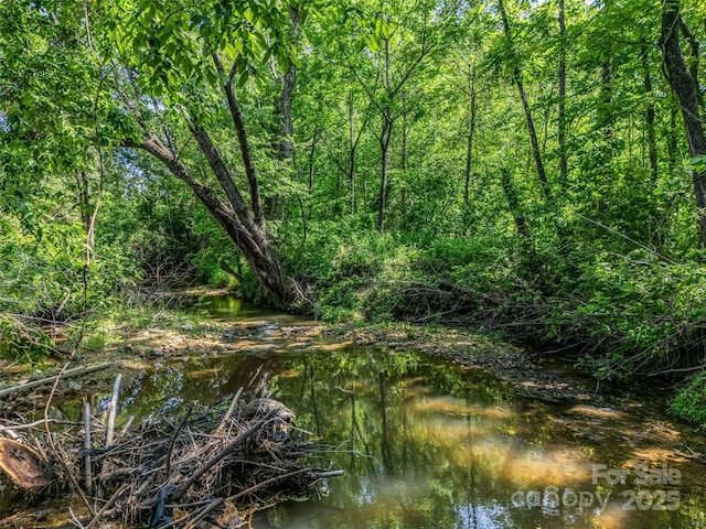 2941 Nix Creek Rd, Marion, NC 28752 - view of local wilderness