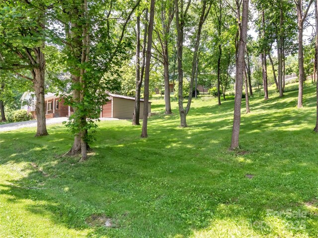 110 Stoney Brook Dr, Clyde, NC 28721 - view of green lawn