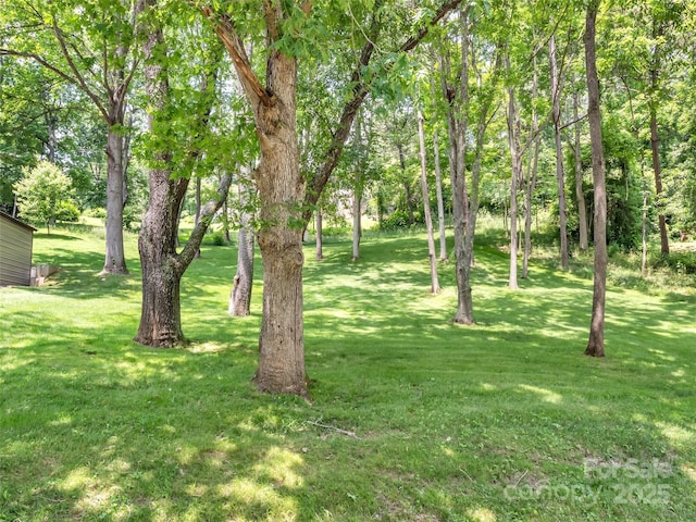 110 Stoney Brook Dr, Clyde, NC 28721 - view of grassy yard