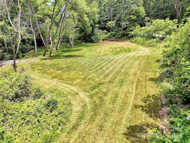 110 Stoney Brook Dr, Clyde, NC 28721 - view of green lawn