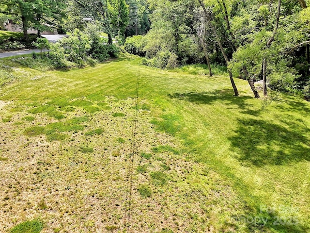 110 Stoney Brook Dr, Clyde, NC 28721 - view of grassy yard