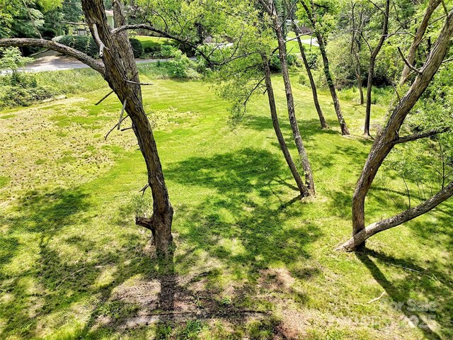 110 Stoney Brook Dr, Clyde, NC 28721 - view of green lawn