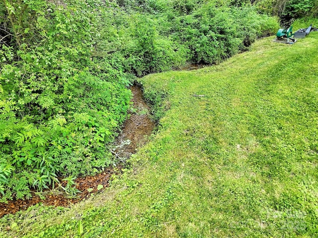 110 Stoney Brook Dr, Clyde, NC 28721 - view of yard