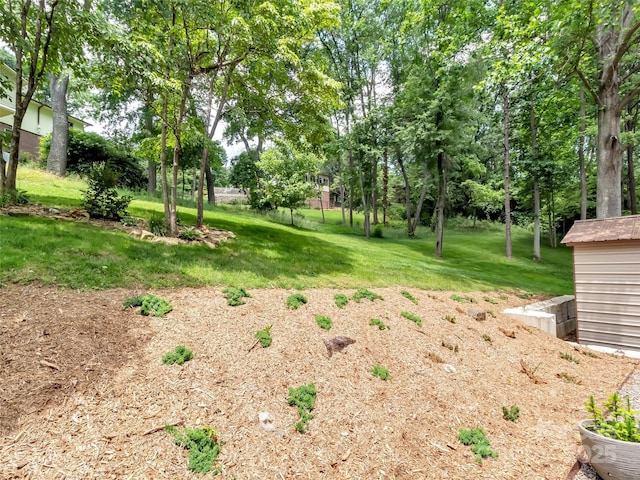 110 Stoney Brook Dr, Clyde, NC 28721 - view of green lawn with view of scattered trees