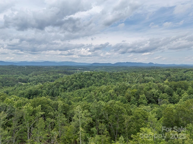 000 Wilderness Rdg, Rutherfordton, NC 28139 - photo 1