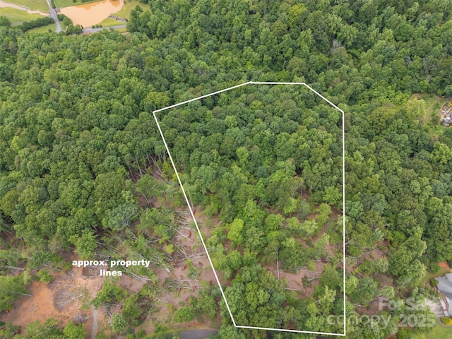 000 Wilderness Rdg, Rutherfordton, NC 28139 - photo 2