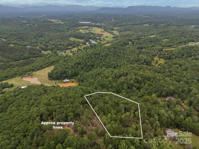 000 Wilderness Rdg, Rutherfordton, NC 28139 - photo 3