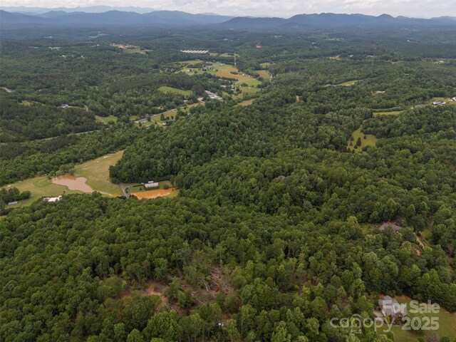 000 Wilderness Rdg, Rutherfordton, NC 28139 - photo 4