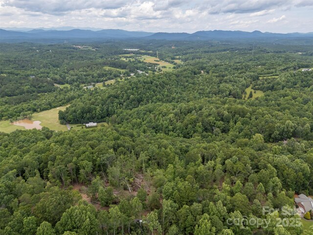 000 Wilderness Rdg, Rutherfordton, NC 28139 - photo 5