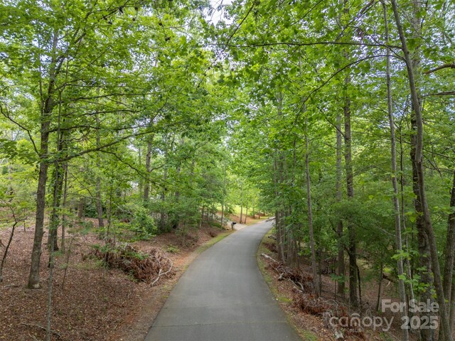 000 Wilderness Rdg, Rutherfordton, NC 28139 - photo 6