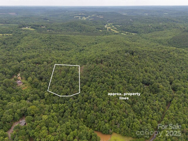 000 Wilderness Rdg, Rutherfordton, NC 28139 - photo 7
