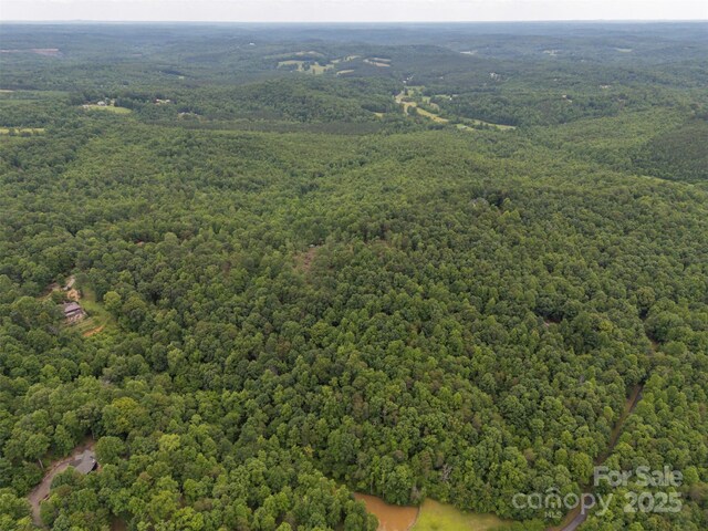 000 Wilderness Rdg, Rutherfordton, NC 28139 - photo 8