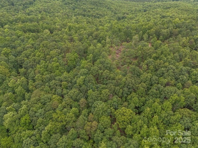000 Wilderness Rdg, Rutherfordton, NC 28139 - photo 9