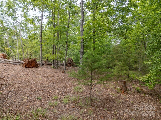 000 Wilderness Rdg, Rutherfordton, NC 28139 - photo 10