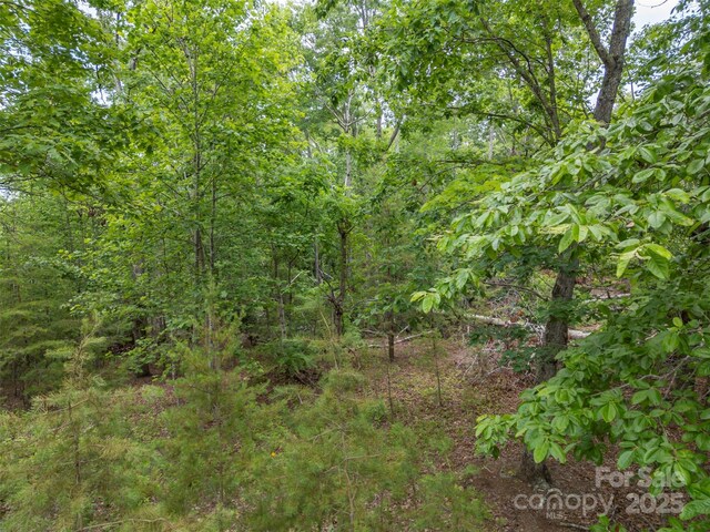000 Wilderness Rdg, Rutherfordton, NC 28139 - photo 11