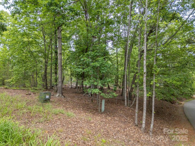 000 Wilderness Rdg, Rutherfordton, NC 28139 - photo 12