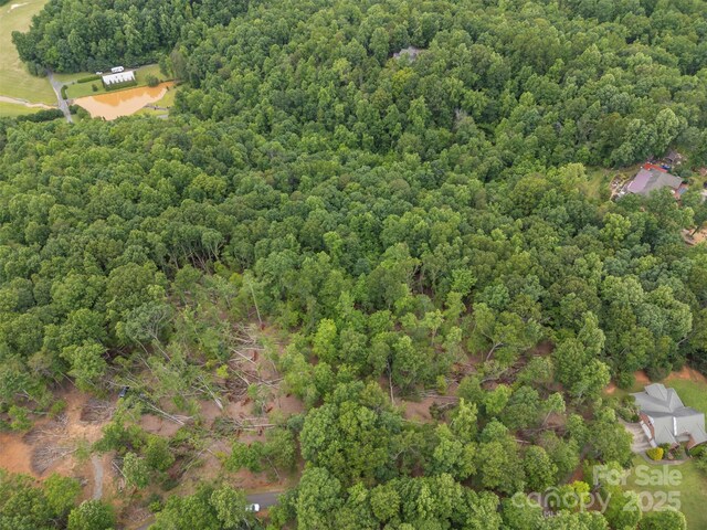 000 Wilderness Rdg, Rutherfordton, NC 28139 - photo 13