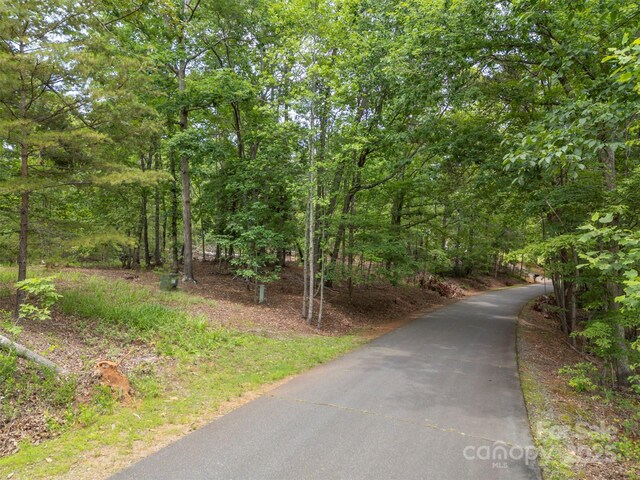 000 Wilderness Rdg, Rutherfordton, NC 28139 - photo 14