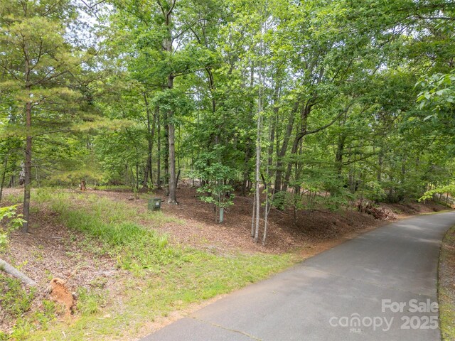 000 Wilderness Rdg, Rutherfordton, NC 28139 - photo 15