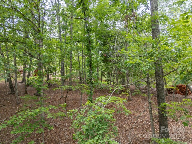 000 Wilderness Rdg, Rutherfordton, NC 28139 - photo 16
