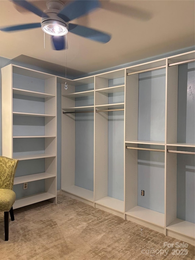 106 Condover Pl, Charlotte, NC 28270 - spacious closet featuring ceiling fan