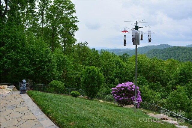 394 Hummingbird Ln, Elk Park, NC 28622 - view of yard with a mountain view and a wooded view