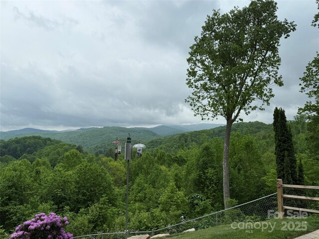 394 Hummingbird Ln, Elk Park, NC 28622 - view of mountain background featuring a heavily wooded area