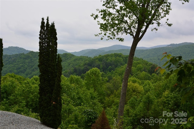 394 Hummingbird Ln, Elk Park, NC 28622 - view of mountain backdrop with a heavily wooded area