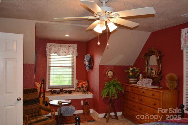394 Hummingbird Ln, Elk Park, NC 28622 - bathroom with ceiling fan, vaulted ceiling, and baseboards