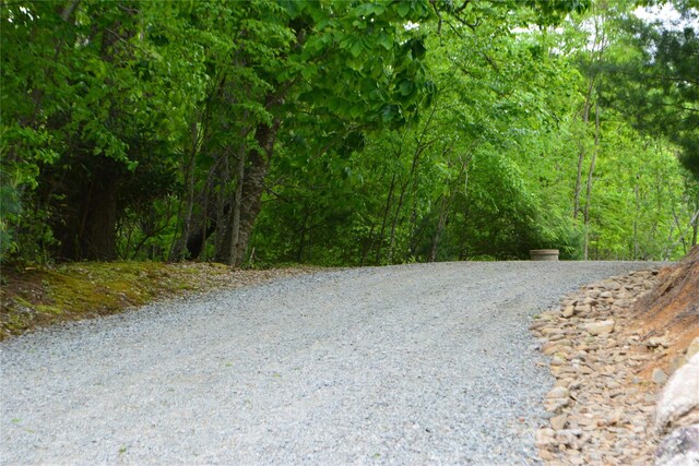 394 Hummingbird Ln, Elk Park, NC 28622 - view of road with a wooded view