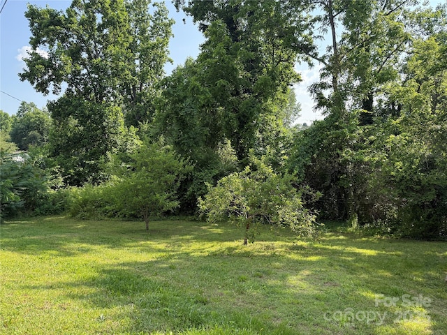 28 Central Ave, Granite Falls, NC 28630 - view of grassy yard