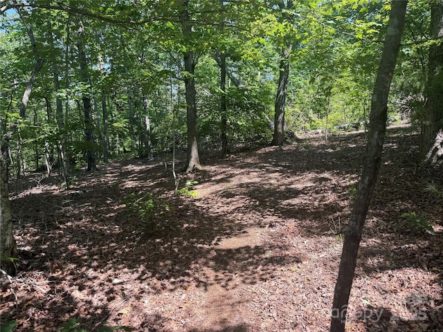 0 Crescent Ridge Lane 373, Nebo, NC 28761