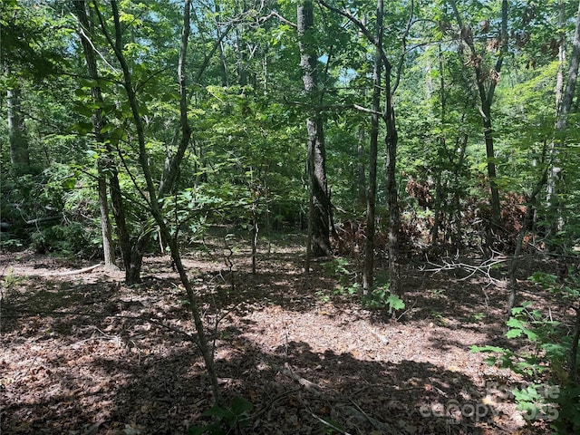 0 Crescent Ridge Lane 373, Nebo, NC 28761